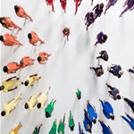 work-with-other-local-organizations