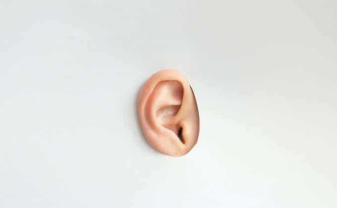 Ear